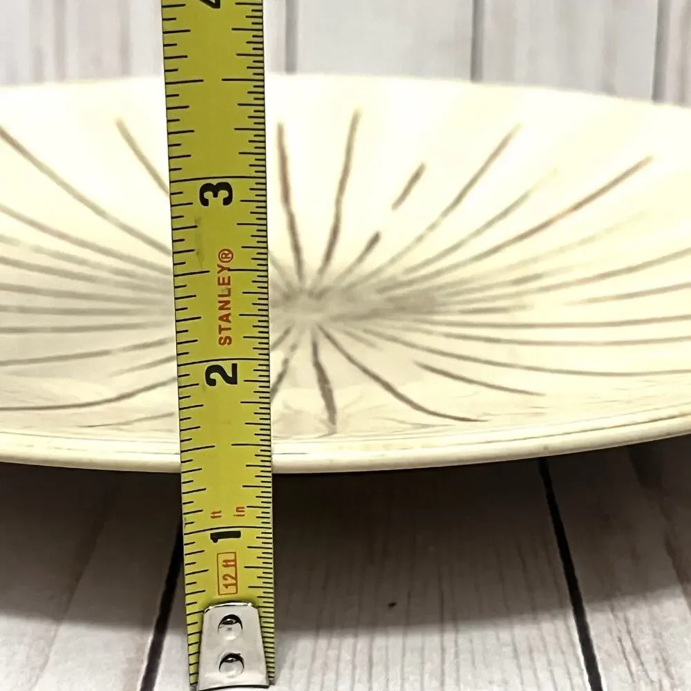 PIER 1 Sanctuary Stoneware 11.5” Dinner Plates Brown MCM Starburst - Set Of 2